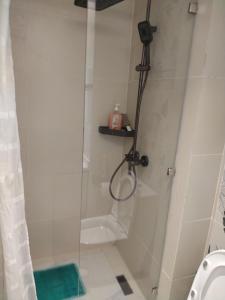Cozy Studio Apartment Spa and Safaris