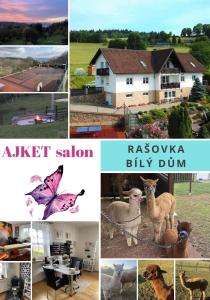 Rašovka - Bílý dům