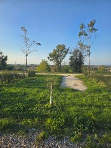 Agricampeggio AL CIELO STELLATO