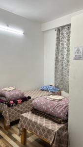 Backpackers nest