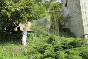 Maisons de vacances Songbird Sanctuary : photos des chambres