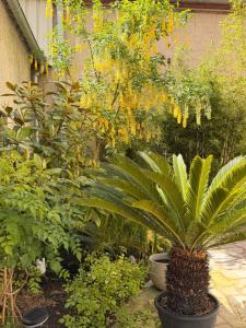 Villa des dames 40m2,jardin fleuri