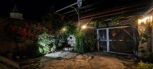 VILLA SABA WITH TWO BEDROOMS- სასტუმრო საბა