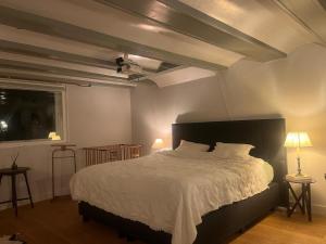 Plantage Palace Guesthouse