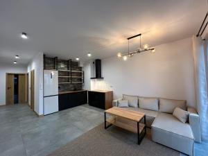 Modern Apartments 43