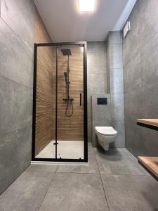 Modern Apartments 43