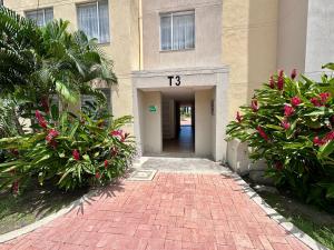 Sun luxury suit Ricaurte