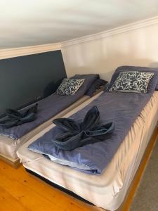 Designer Studio with private sauna & AC