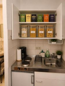 Comfortable and Cozy Apartment in Dresden