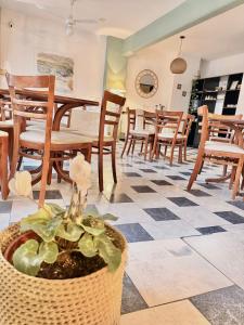 Hotel Centro SJ