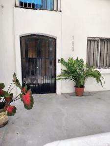 Apartment between Central and Puerto Vallarta Airport
