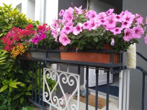 La rose beautiful brand new apartment in souplex