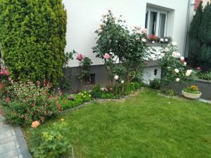 La rose beautiful brand new apartment in souplex