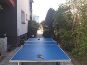 La rose beautiful brand new apartment in souplex