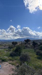 Jerash Gate