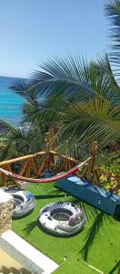 alojamiento en playa #2