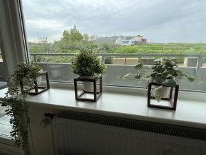 13 II holiday apartments with sea view