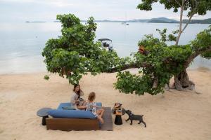Clay Beach Samui - Beachfront Villas