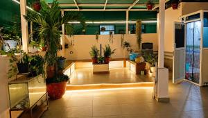 Kasotiya Mansion Homestay