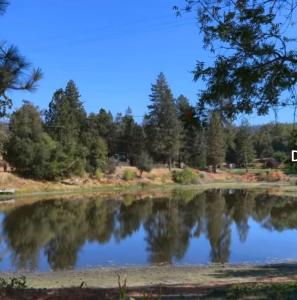 La Dolce Villa Pond Retreat in Yosemite