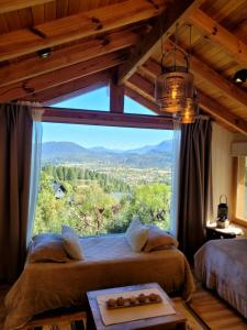 Ailen De Los Andes Deluxe 1