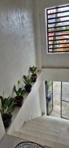 Yuna Homestay-San Francisco