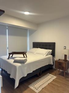 Essential luxury apartments