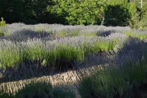 Huala Hosteria - Lago Puelo