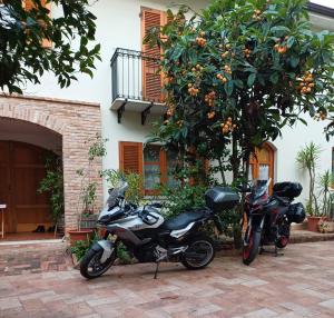 L'arancio Antico img2
