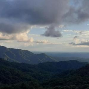 SAMAY FOREST- MASHPI AMAGUSa