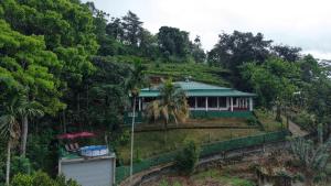 Forever Life Ambuluwawa