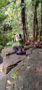 Makandawa tropical rainforest Kithulgala hiking camping bird watching