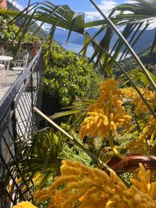 Villa Lariana in Como, Lake view, Pool & Garden!