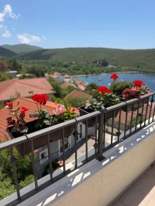SUNTIME apartament 5