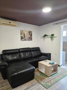Garden Studio
