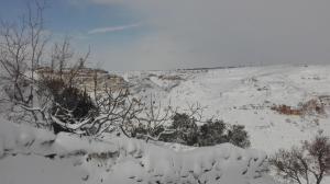 Il Cucù Bed and Breakfast