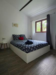 Maison avec jardin clos, Catus