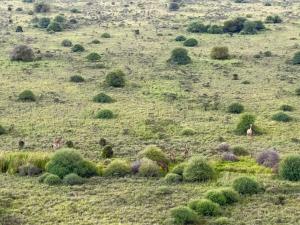 Sky safari suite, Nairobi near Airport,SGR, with pool and National Park Views