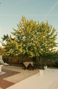 Tuscany Apartment