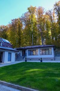 Dey Villa, Valea Avrigului, Transilvania