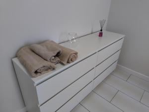 Barbaros Apartament