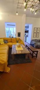 Lovely 5 bedrooms viareggina, with garden