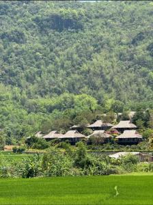 Mai Chau Mountain Delight