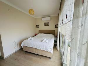 Evalacati - Villa Harnup- Detached house with private pool and garden