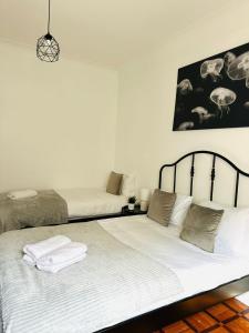 New flat Cidade da Horta, top location