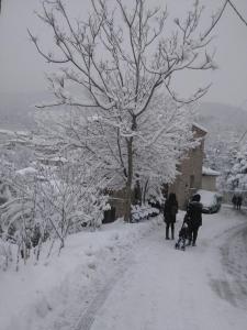 Guesthouse Mavrodimos Parnassos Greece