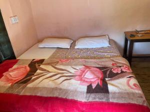 The Kingdom Homestays