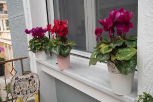 Apartment Corinth Korinthia Greece