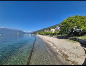 Il nido del lago