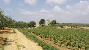 Agri Experience - Case Gentile